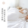 代发 60支贡缎棉春上双宫茧6A级桑蚕丝四季子母被  一年四季都能盖 商品缩略图0