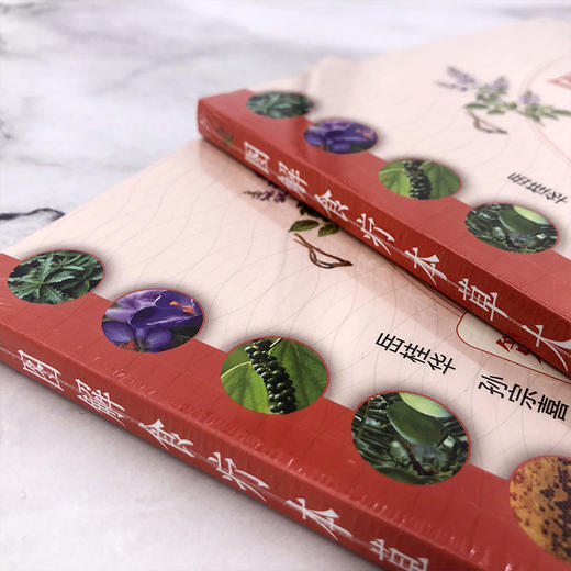 图解食疗本草大全（第二版） 商品图3