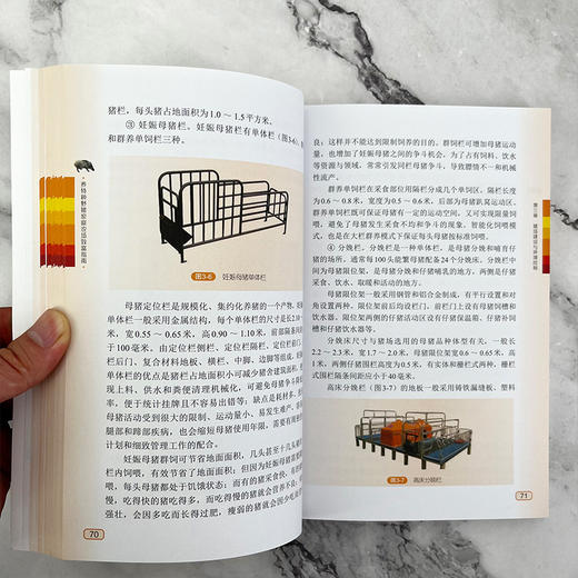 养特种野猪家庭农场致富指南 商品图8