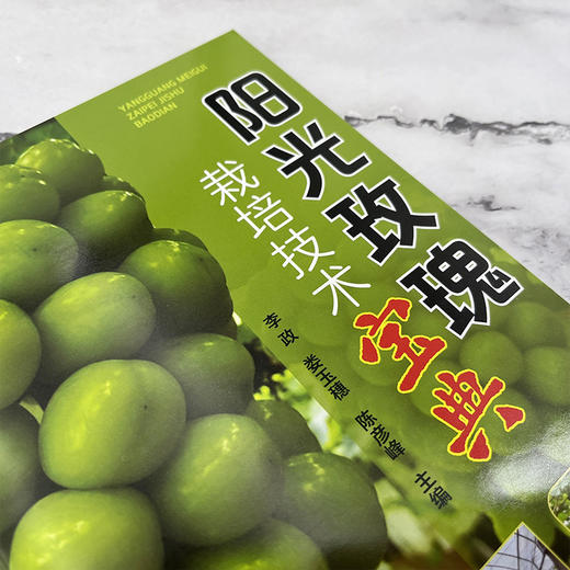 阳光玫瑰栽培技术宝典 商品图2