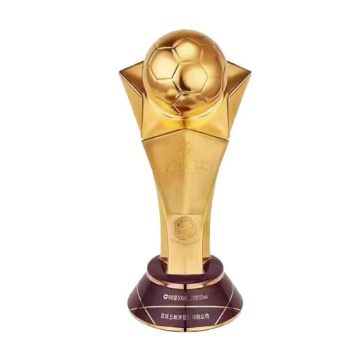 52度五粮液·举杯挚爱（2022年卡塔尔世界杯）纪念酒500ml 单瓶 商品图3