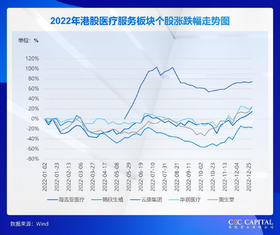 20 家值得关注的公司