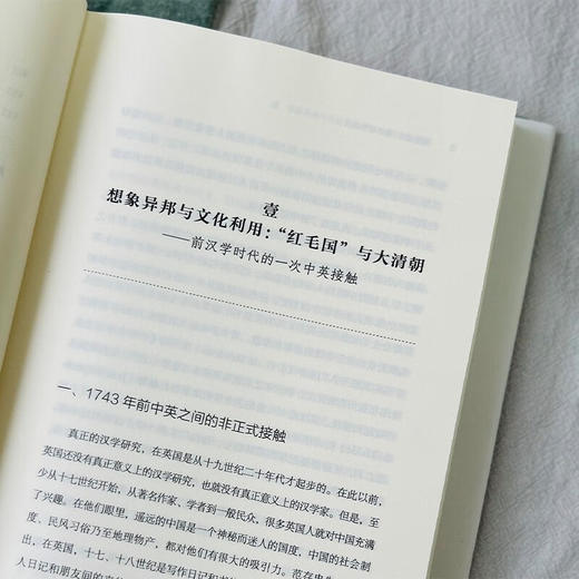 凿壁借光：海外汉学论丛 程章灿 著 商务印书馆 商品图7