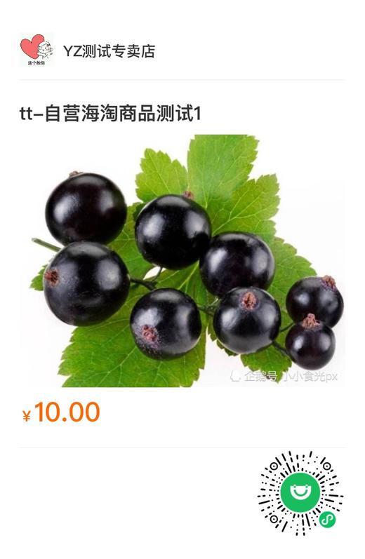 盈盈测试全款预售 商品图0