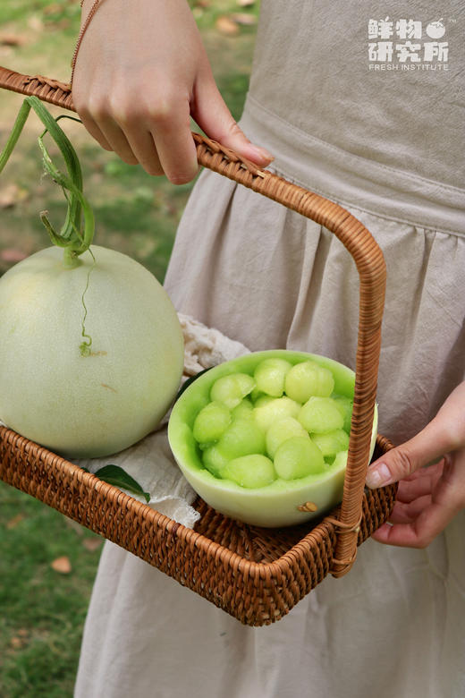 “冰淇淋”味儿的蜜瓜！！【玉菇甜瓜】果肉细腻化渣 入口绵润爽口 轻咬满嘴爆汁 仅售1个月 商品图3