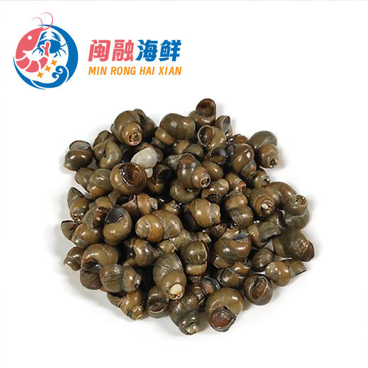 去尾田螺 商品图0