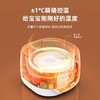Abereve 养生壶ABL-YSH377 白色 商品缩略图5
