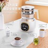 Abereve 养生壶ABL-YSH377 白色 商品缩略图4