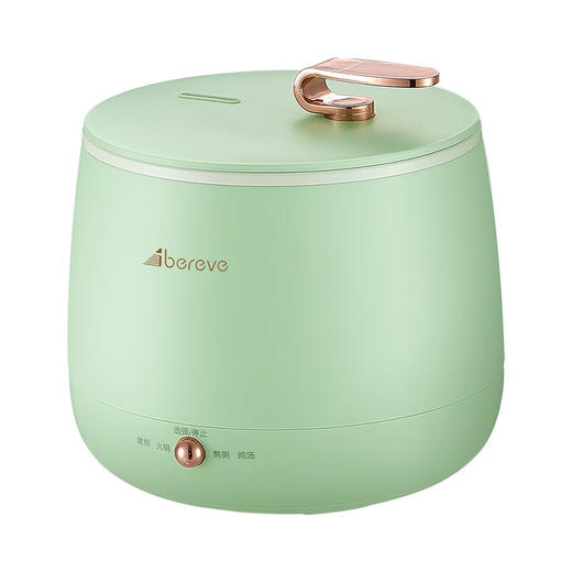 艾贝丽 艾贝丽多功能电饭锅ABL-DFB16 1.6L 薄荷绿 商品图0