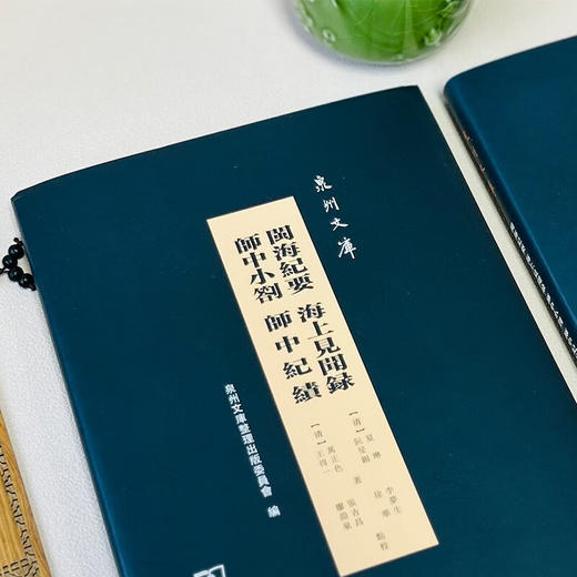 闽海纪要 海上见闻录 师中小札 师中纪绩(繁体)（泉州文库） (清)夏琳 阮旻锡 万正色 王得一 著 李梦生 徐华 张吉昌 廖渊泉 点校 商务印书馆 商品图2