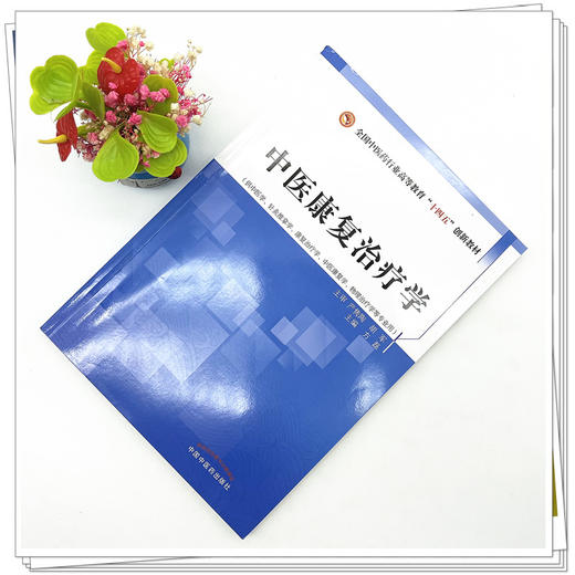 中医康复治疗学 全国中医药行业高等教育十四五创新教材 方磊 主编 中国中医药出版社 商品图2