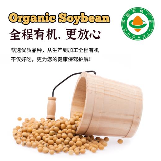 内蒙古产有机黄豆 商品图4