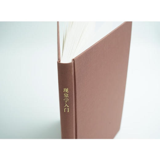 现象学入门（中国现象学文库·现象学原典译丛·扎哈维系列） [丹麦]丹·扎哈维 著 康维阳 译 商务印书馆 商品图3