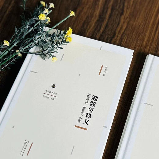 溯源与释义：海德格尔、胡塞尔、尼采（未来哲学丛书） 梁家荣 著 商务印书馆 商品图6