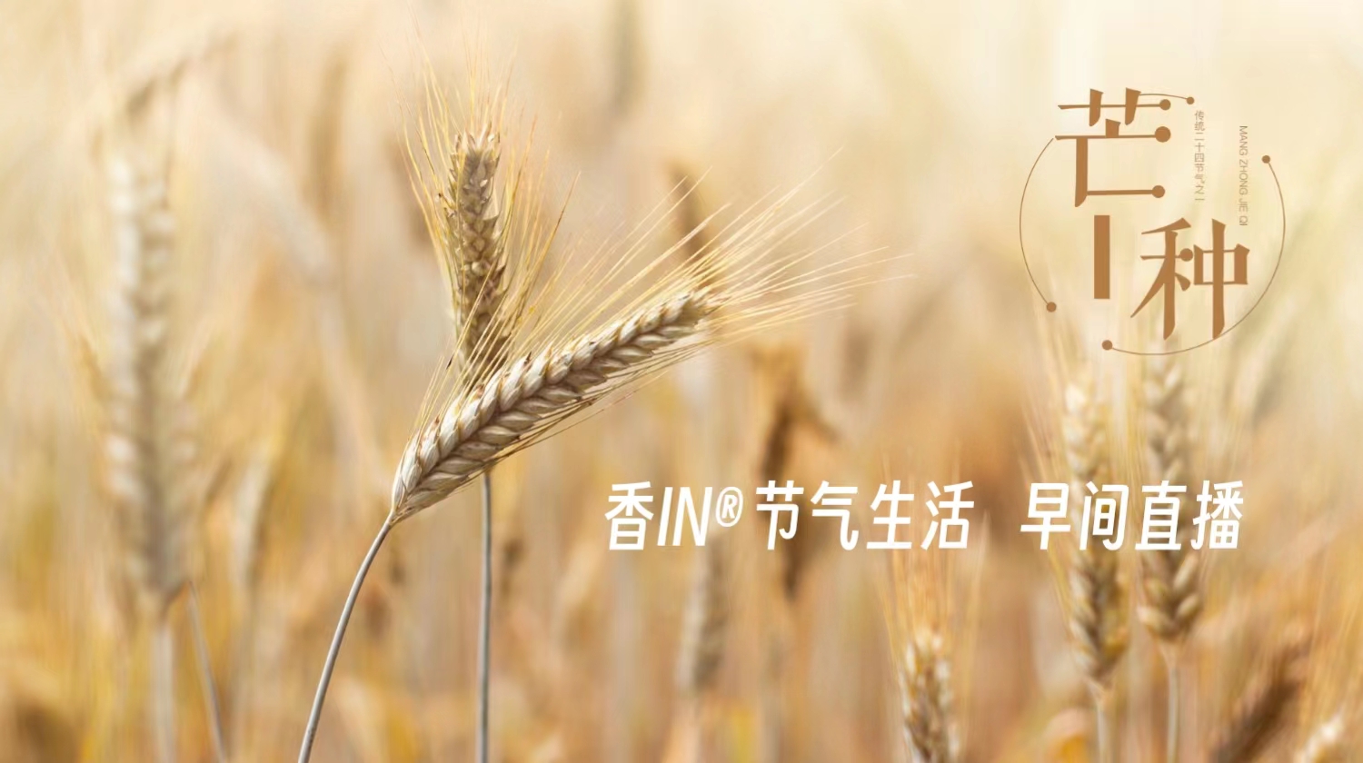 节气生活 芒种早直播