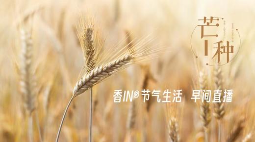 节气生活 芒种早直播 商品图0