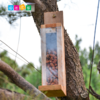 溪谷森林自然教育鸟类智力测试装置 商品缩略图3
