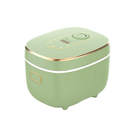 艾贝丽低糖饭煲 ABL-FB50 商品图0