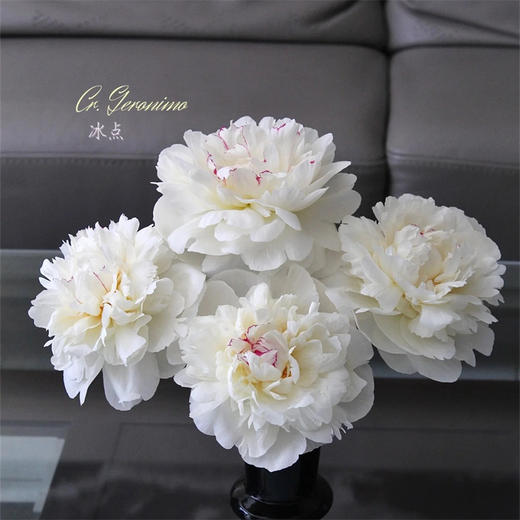 冰点芍药5支 商品图11
