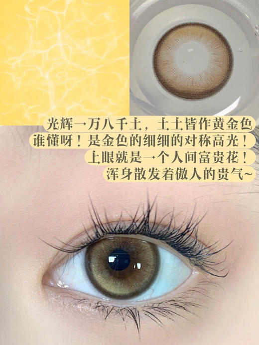 【日抛】 撒哈拉chonos日抛 中直径14.2 着色13.4  【同品牌多盒更划算 完整选款色板在详情页里哟】 含水50％，基弧8.5 商品图0