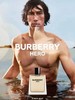 BURBERRY 巴宝莉 英雄香 商品缩略图0
