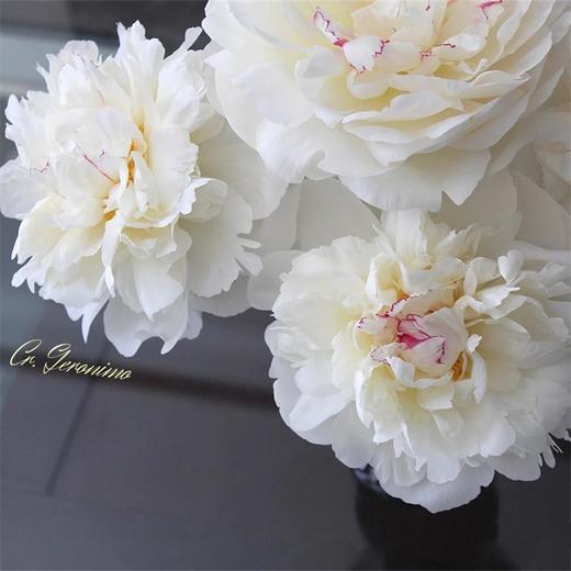 冰点芍药5支 商品图5