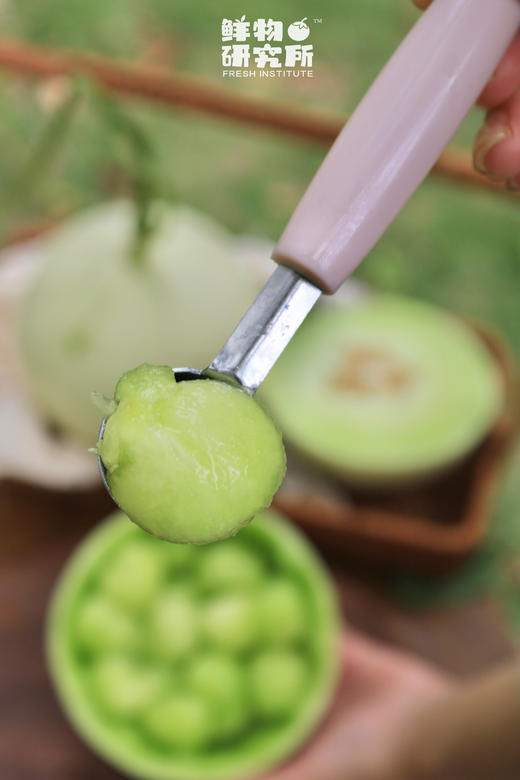 “冰淇淋”味儿的蜜瓜！！【玉菇甜瓜】果肉细腻化渣 入口绵润爽口 轻咬满嘴爆汁 仅售1个月 商品图6