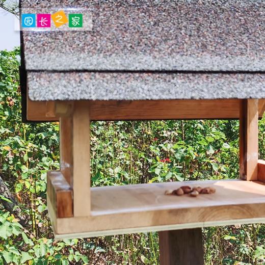 溪谷森林自然教育鸟类取食平台 商品图2