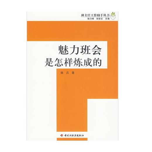 魅力班会是怎样炼成的 班主任工作助手丛书 杨兵 著 社会科学 商品图0