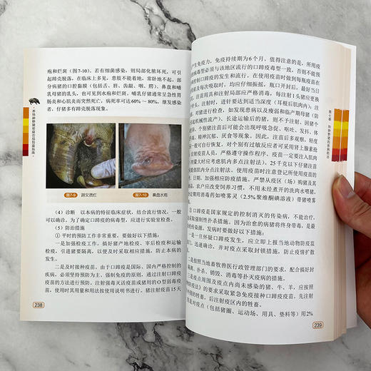 养特种野猪家庭农场致富指南 商品图7