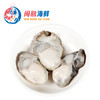 新鲜蚝肉(现撬) /斤 商品缩略图0