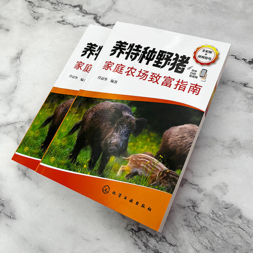 养特种野猪家庭农场致富指南 商品图3