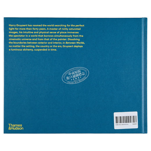 预售 【中商原版】Harry Gruyaert: Between Worlds 进口艺术 哈里·格鲁亚特摄影集: 两个世界 色彩大师摄影作品集 T&H 商品图1