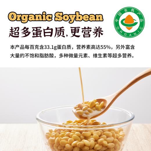 内蒙古产有机黄豆 商品图2