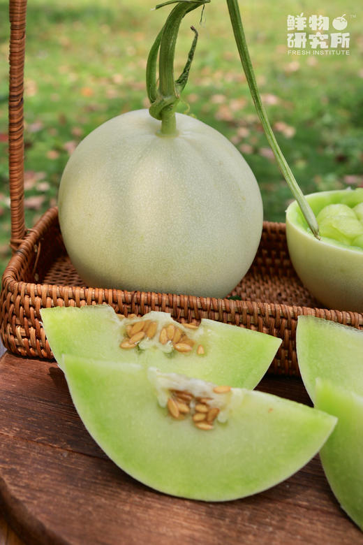 “冰淇淋”味儿的蜜瓜！！【玉菇甜瓜】果肉细腻化渣 入口绵润爽口 轻咬满嘴爆汁 仅售1个月 商品图4