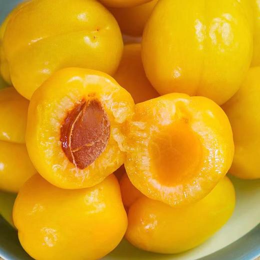 【新疆好物】2023新疆小白杏 黄中透白 2斤/4斤装 商品图1