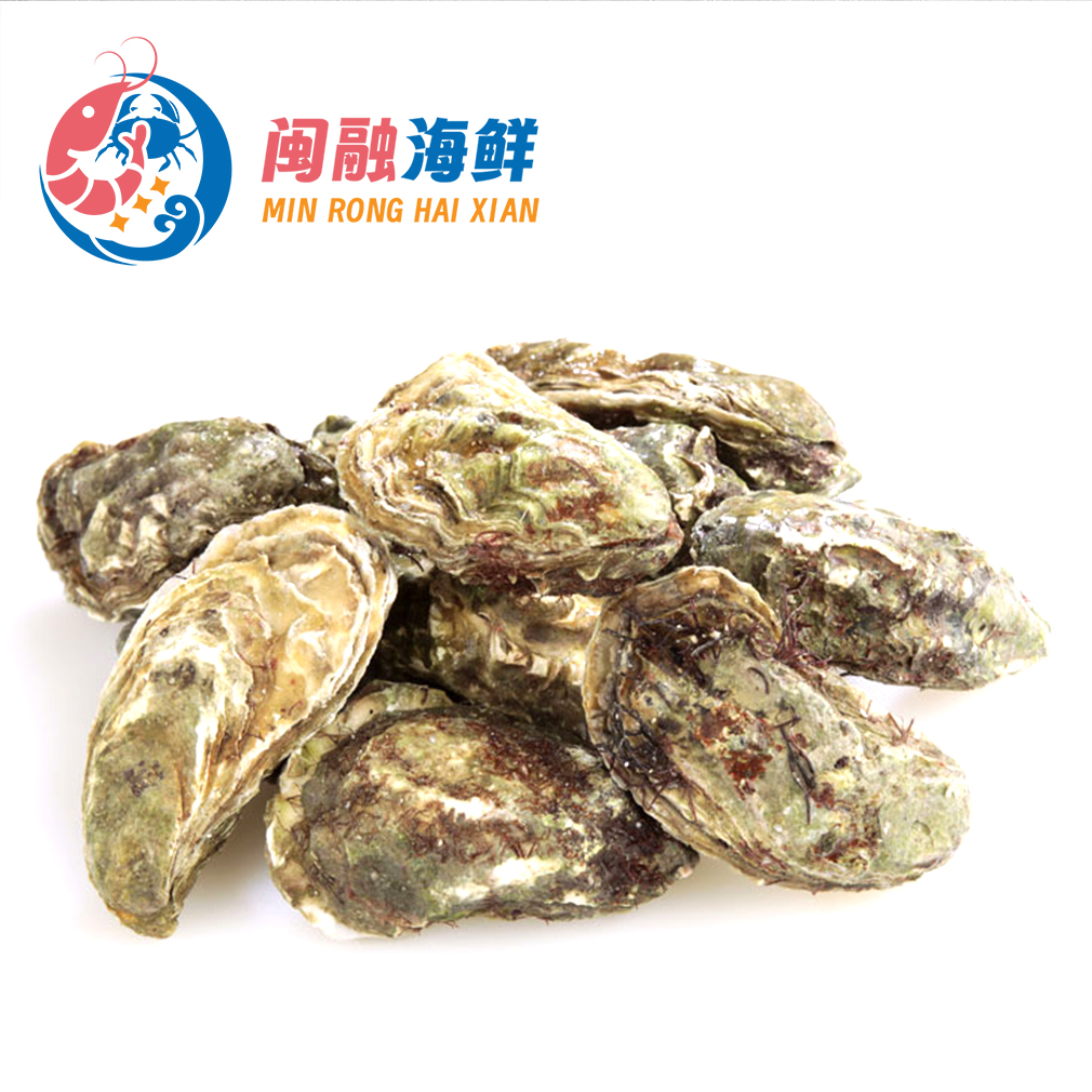 鲜活乳山生蚝 /个