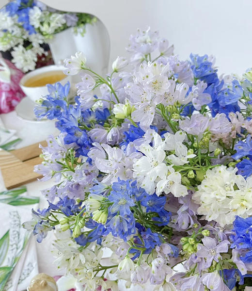 【 自由/热爱生活】小飞燕（单瓣）多色可选  若干枝/扎 商品图0