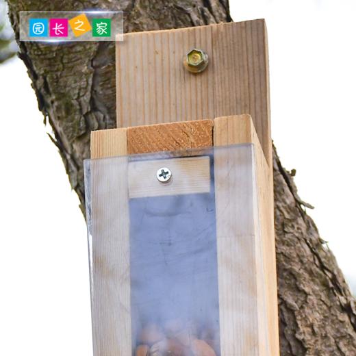 溪谷森林自然教育鸟类智力测试装置 商品图2