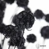永生花材 | 风车果黑 商品缩略图3