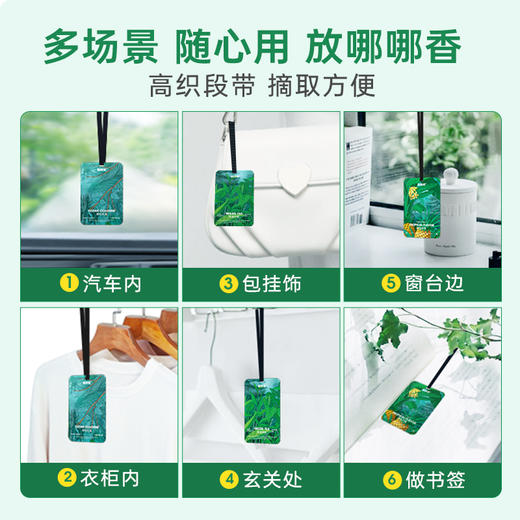 车载香薰汽车香片挂件摆件，长久淡香车内除异味，车内后视镜挂件饰品 商品图3