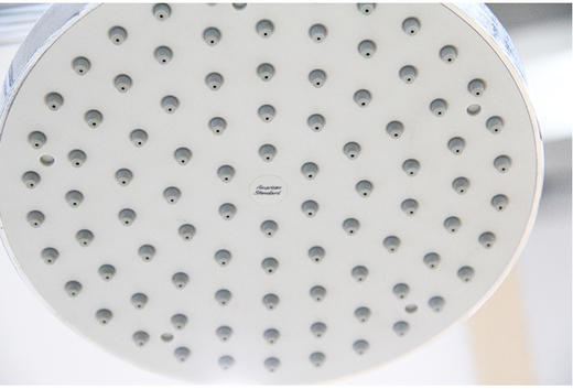 美标月韵热带雨林组件H200ARCF-9071.100.50--A1 商品图8