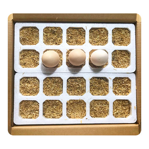 棒享  湖北宜昌橘园谷饲土鸡蛋40枚（单枚克重45g左右） 商品图1