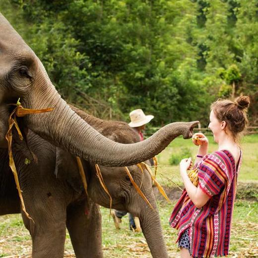 泰国普吉岛【山顶大佛】海景骑大象|丛林飞跃|漆弹射击|ATV越野车| 小象表演（含接送） 商品图1