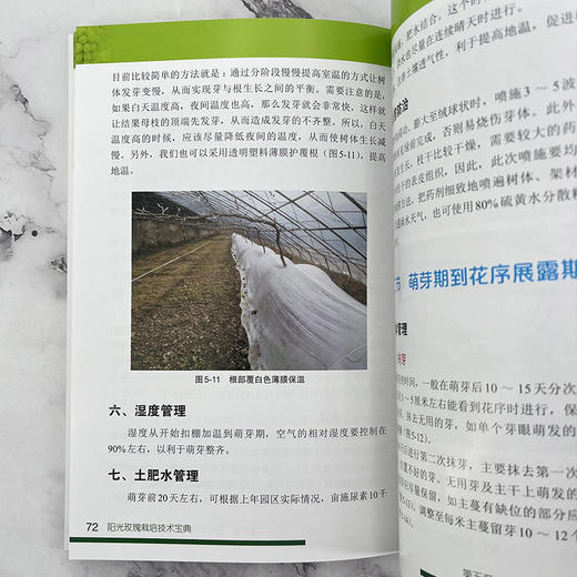 阳光玫瑰栽培技术宝典 商品图9