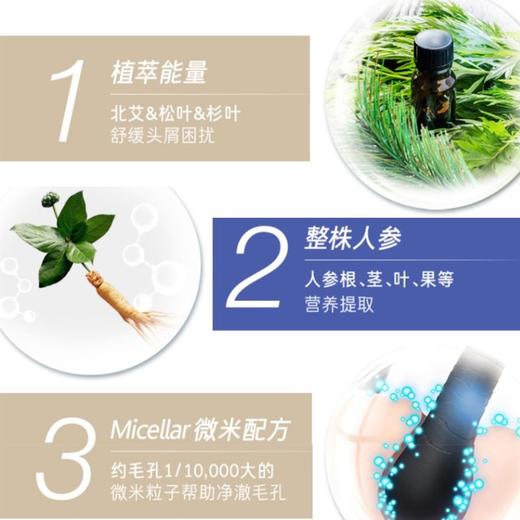 【门店直发 】韩国蓝吕无硅油舒盈清润净澈控油去屑清爽洗发水护发素400ml（新老款随机发货） 商品图4