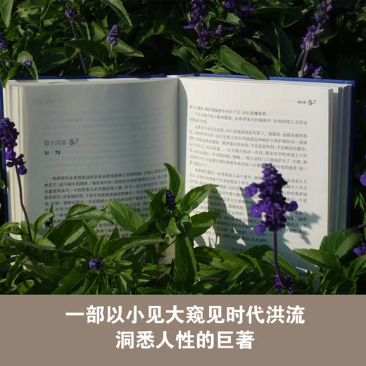 经典译林：癌症楼 商品图2