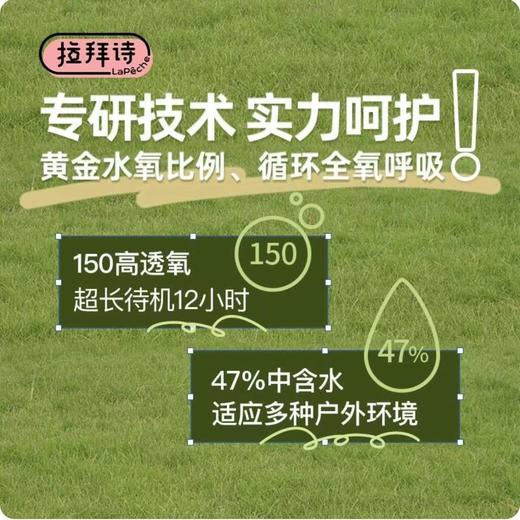 【日抛】lapeche 硅水凝胶材质 高透氧 日抛透明片 20片装 100-1200度 商品图2