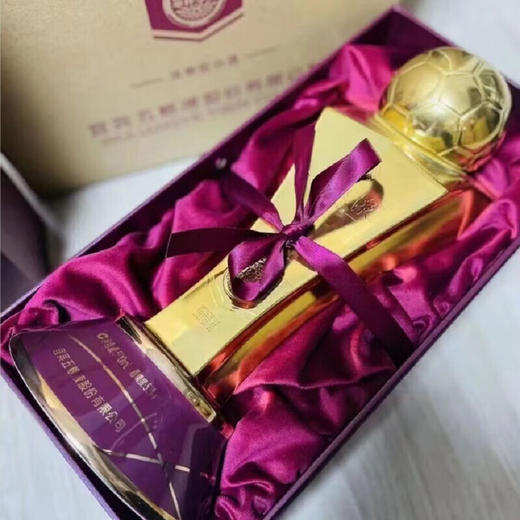 52度五粮液·举杯挚爱（2022年卡塔尔世界杯）纪念酒500ml 单瓶 商品图2