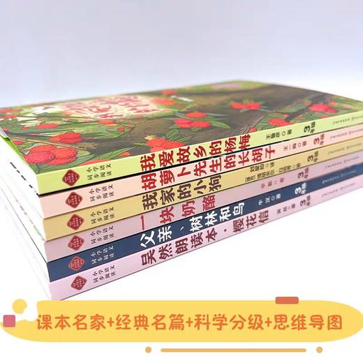 三年级上册必读课外书老师推荐经典全套6册小学语文教材同步阅读书籍 胡萝卜先生的长胡子王一梅童话故事书父亲树林和鸟一块奶酪书 商品图3